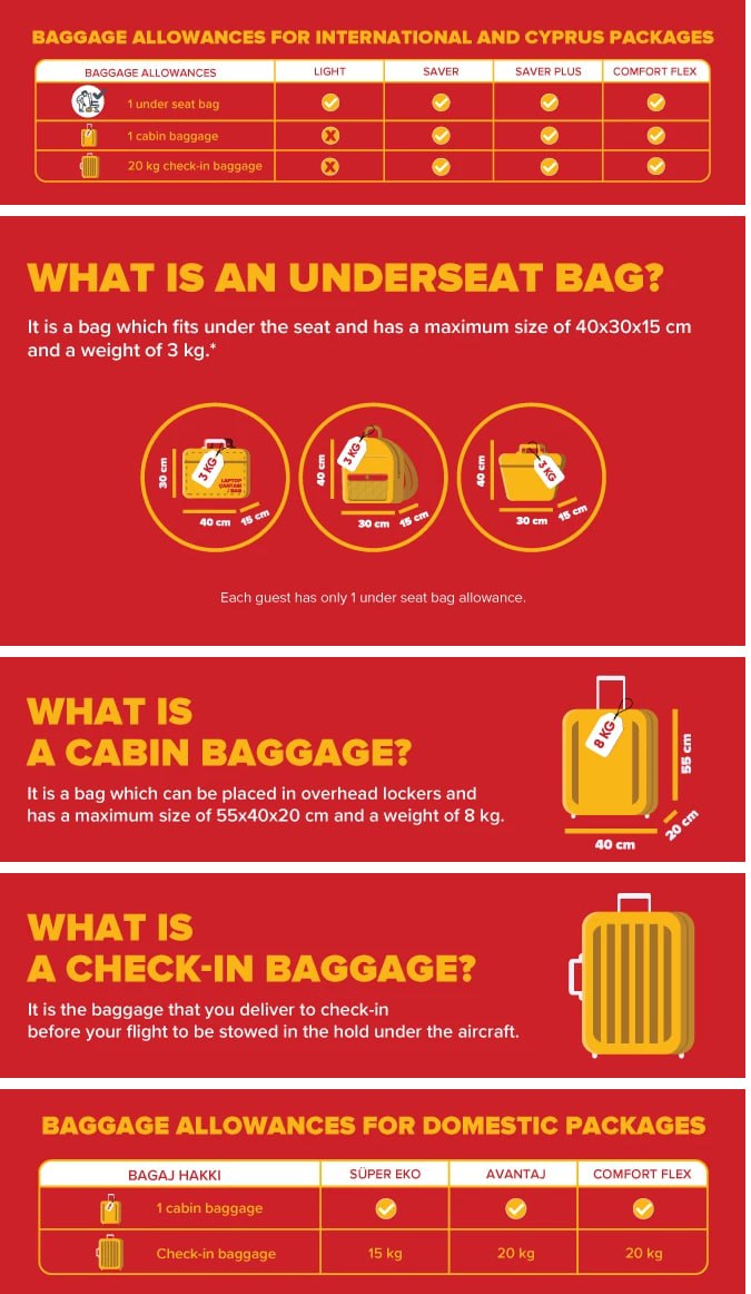 Pegasus cabin baggage size online