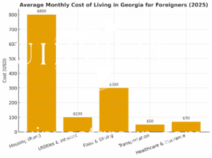 Bar chart showing the average monthly cost of living in Georgia for foreigners in 2025, with expenses for housing, utilities, food, transport, and healthcare.