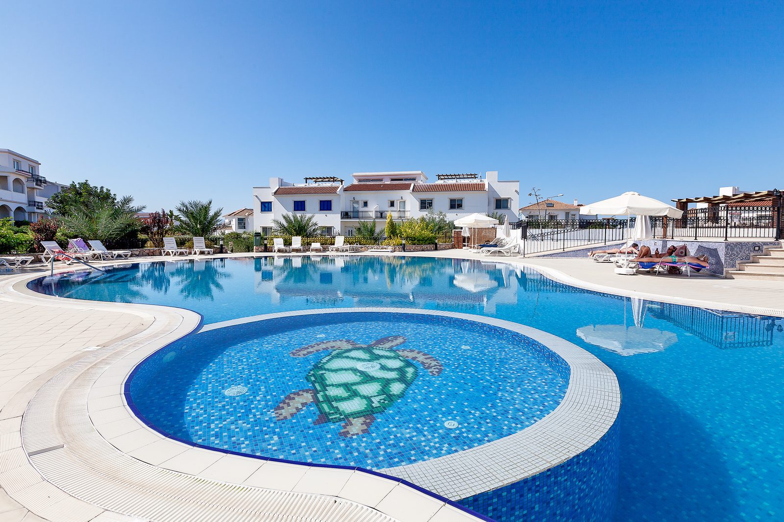 Photo of a pool with a turtle mosaic on the pool floor