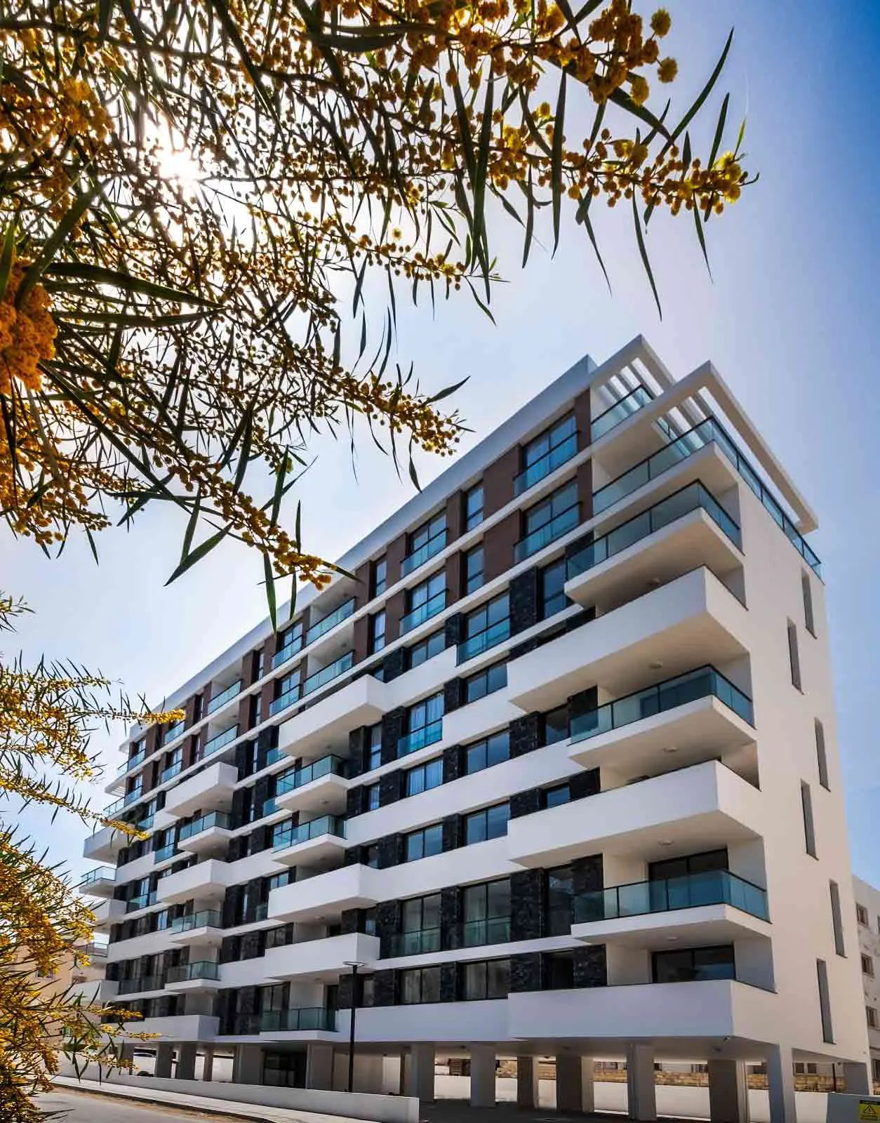 Apartment building facade with balconies framed by tree branches